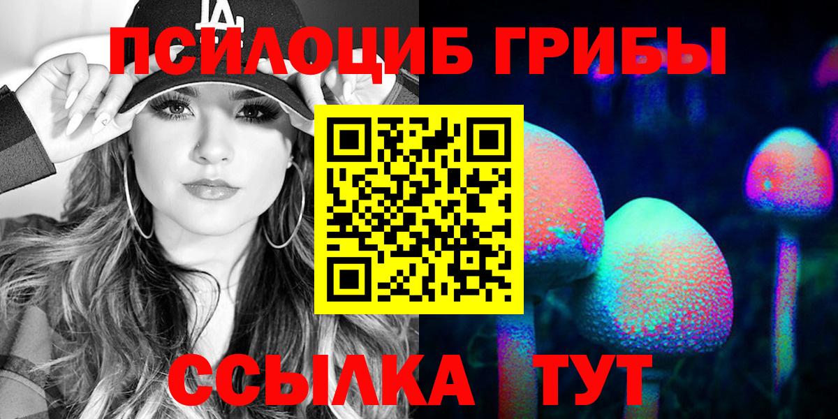 Галлюциногенные грибы Psilocybine cubensis Ухта
